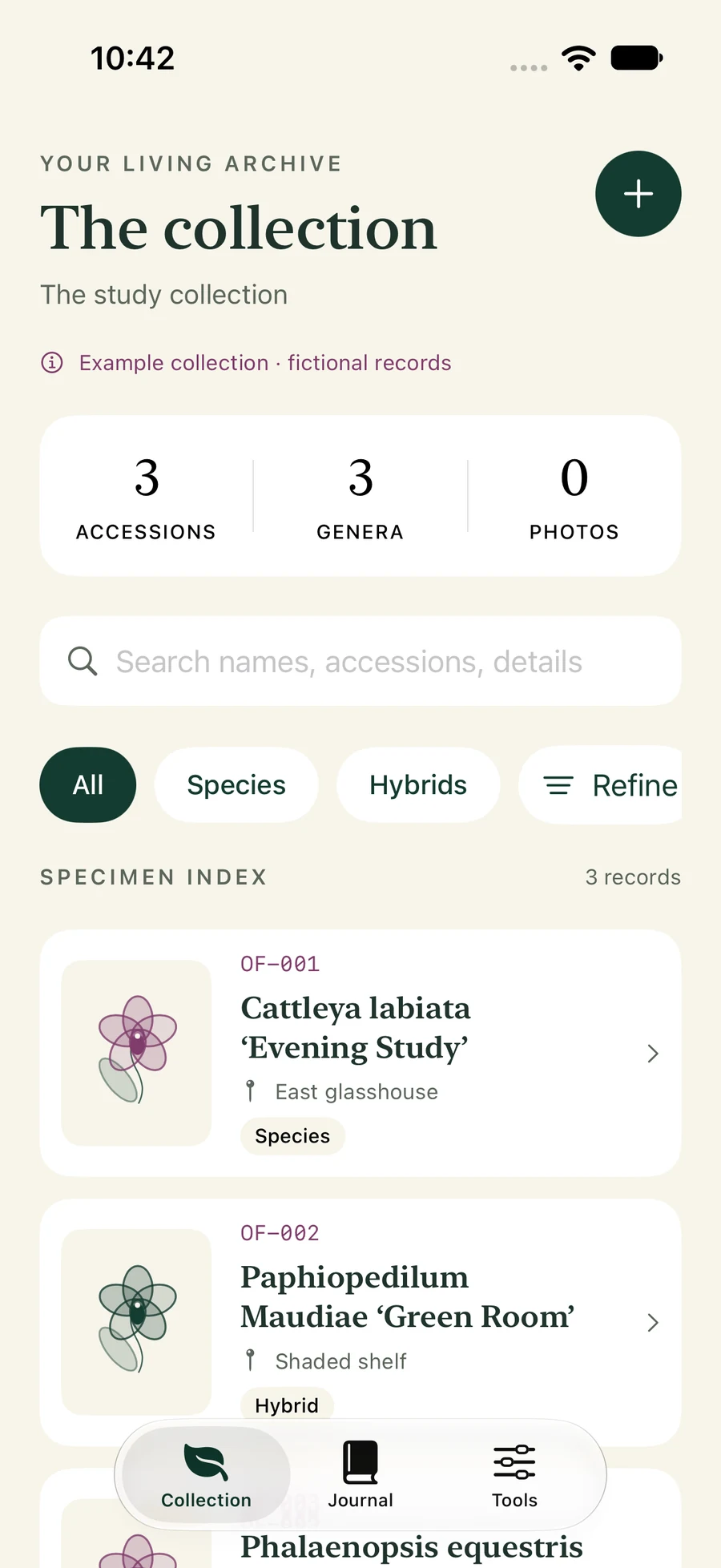 A fictional OrchidFields collection showing orchid records and original botanical illustrations.